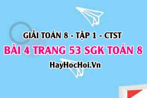 Giải bài 4 trang 53 Toán 8 Tập 1 SGK Chân trời sáng tạo